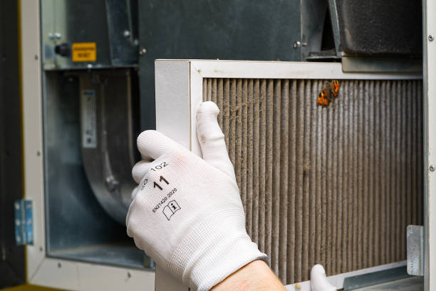 Best HVAC Maintenance and Cleaning  in St Joseph, IL