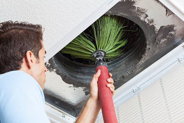 Best Air Duct Sanitizing Services  in St Joseph, IL