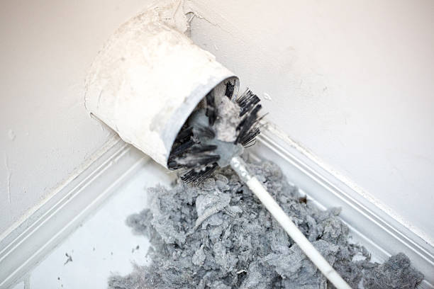 Best Duct Cleaning for Homes  in St Joseph, IL