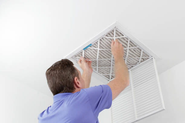 Best Air Vent Cleaning Services  in St Joseph, IL
